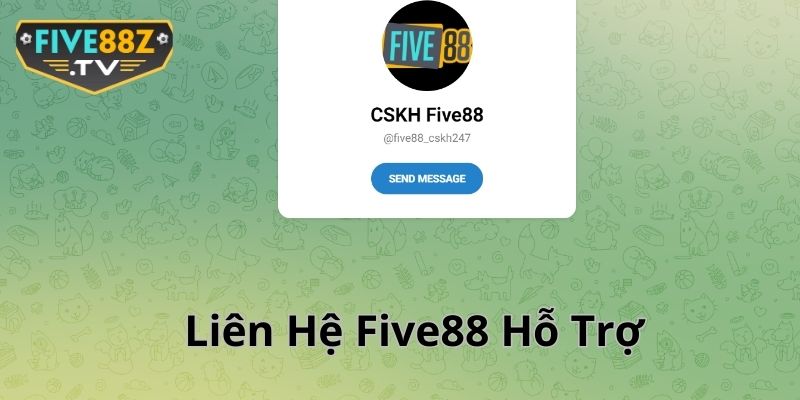 Five88 hỗ trợ chăm sóc hội viên tại nhiều nền tảng khác nhau